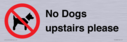 no-dogs-upstairs-please-~